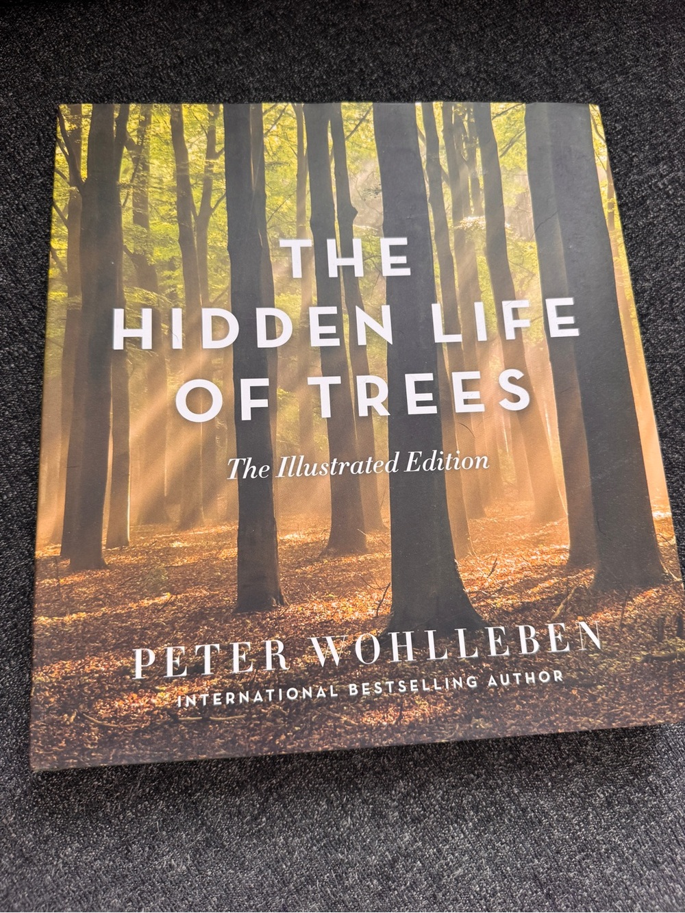 The Hidden Life of Trees Illustrated Edition - - Green Cover